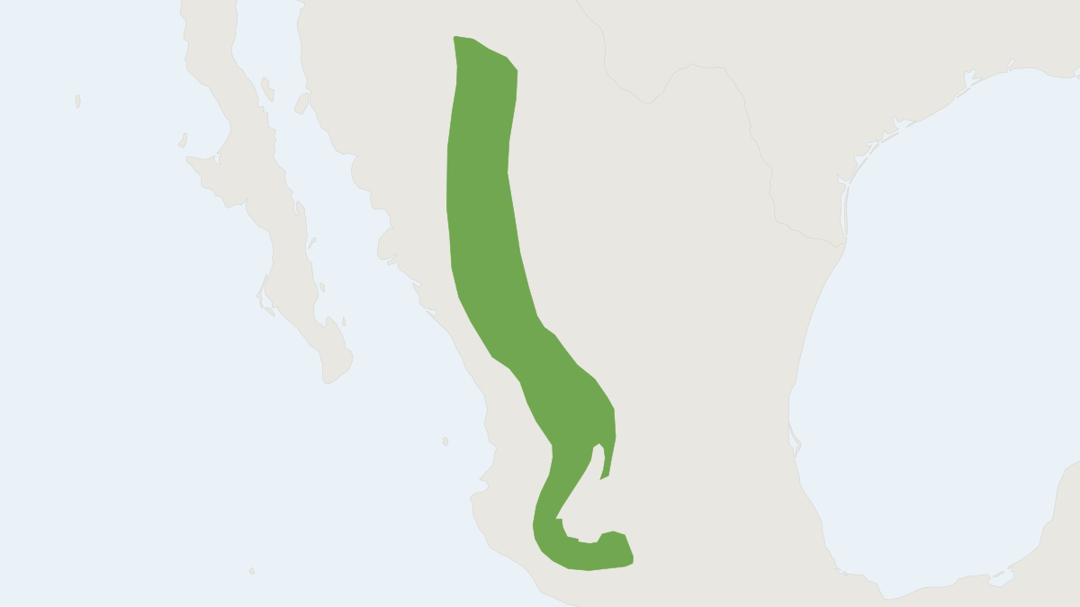 Range map of the Zacatecas Harvest Mouse (Reithrodontomys zacatecae)