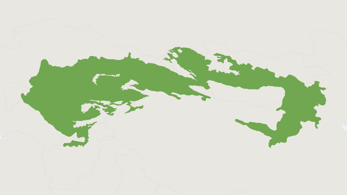 Range map of the Zaisan Mole Vole (Ellobius tancrei)