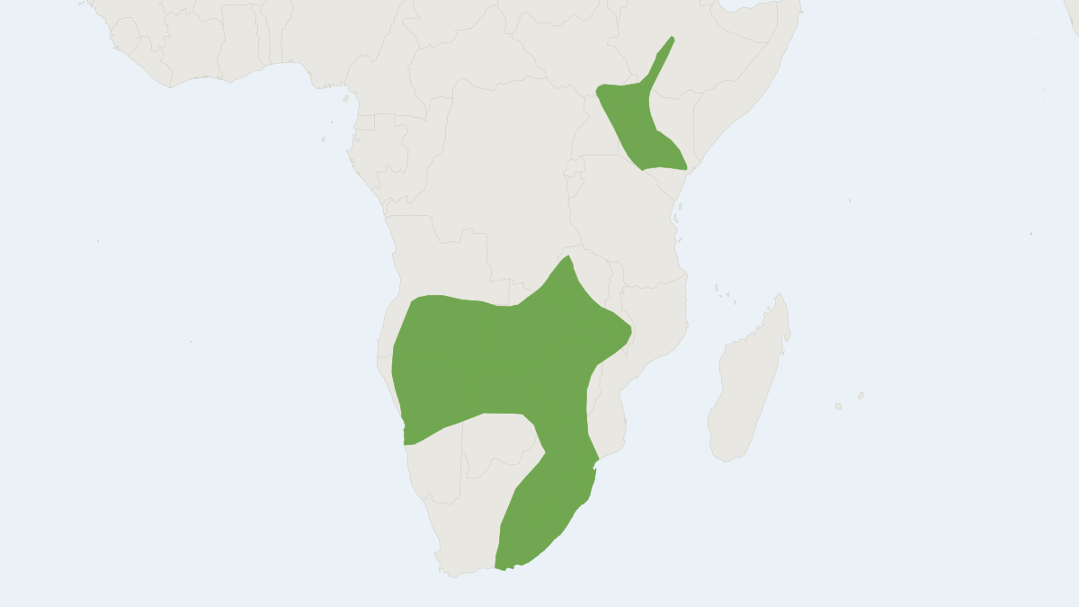 Range map of the Zulu Serotine (Neoromicia zuluensis)